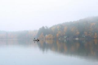 lake fog
